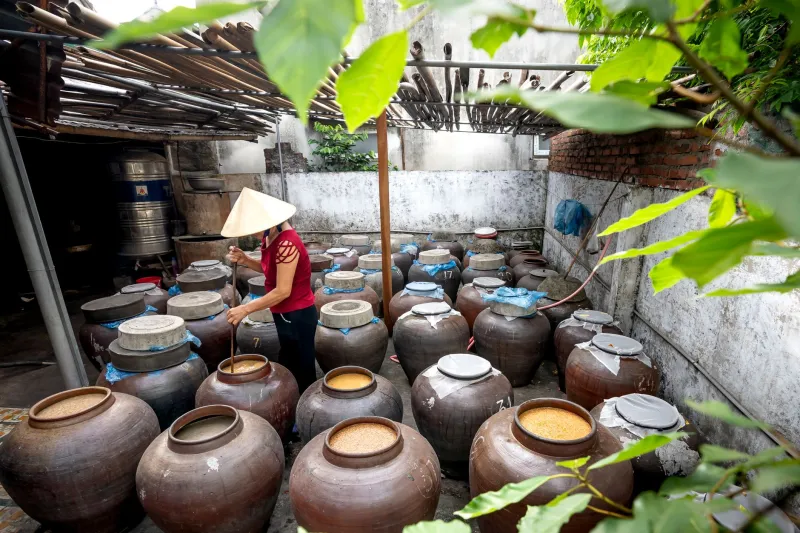 Time in a Bottle: How Ancient Fermentation Is Rewriting the Rules of Modern Craft Beverages