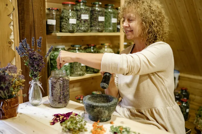 From the Forest Floor to the Flask: How Native Botanicals Are Reshaping American Craft Spirits